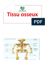 Tissu Osseux