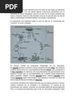 Hongos y Briofitas