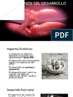 Trastornos Del Desarrollo