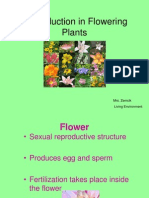 Reproduction in Flowering Plants