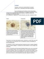 Entamoeba Histolytica Dispar e Coli