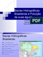 Bacias Hidrográficas e Poluição de Suas Águas