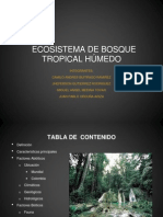 Ecosistema Tropical Final2