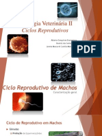 Fisiologia Veterinária II - Ciclos Reprodutivos Bovinos e Ovinos