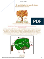 Formas de Hojas
