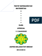 Jufrizal Perspektif Keperawatan Maternitas