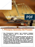 Principios Generales Del Derecho Procesal en General