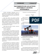 Activos Agotables y Activos Intangibles PDF