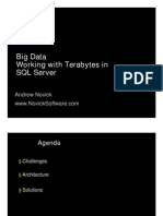 Big Data Working With Terabytes in SQL Server: Andrew Novick