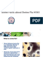 Swine Flu Info