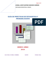 2012 - 2 Guia Practica Estadistica Informatica PDF