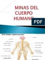 Laminas Del Cuerpo Humano