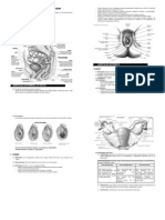 Aparato Reproductor Femenino