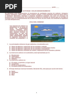 Taller Ciclos Biogeoquimicos