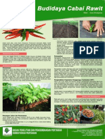 MP-12 Budidaya Cabai Rawit PDF