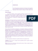 Señales y Sistemas Digitales PDF