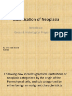 Classification of Neoplasia: Neoplasia: Gross & Histological Preparations