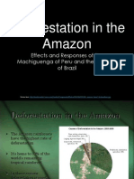 Deforestation in The Amazon: Effects and Responses of The Machiguenga of Peru and The Xavante of Brazil