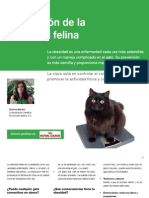 AV - 23 - Prevención de La Obesidad Felina