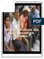 Protección - Social - Adulto - Mayor PDF