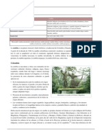 Cumbia PDF