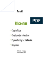 Tema 10 Ribosomas PDF