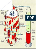 Caracteristicas de La Sangre y Sus Componentes