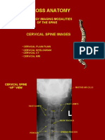 RADIOLOGY IMAGING MODALITIES OF THE SPINE. Cervical Spine Images