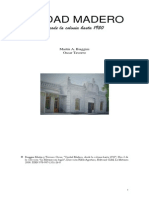 Ciudad Madero Libro Historia PDF