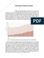 Reusing Produced Water (SPE White Paper) PDF