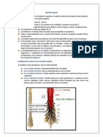 Medula Espinal PDF