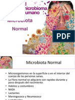 Flora Normal PDF