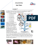 Cours Biologie Marine Vers PDF