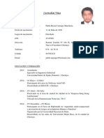 Curriculum Vitae