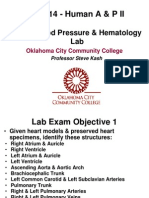 Anatomy and Physiology, Heart, BP and Hematology Labs Moodle