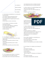 Taller Celula 2014