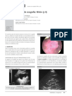 Ecografia Renal Ii PDF