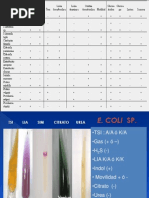 Enterobacterias Pruebas Bioquimicas 2