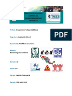 Ensayo Del IMSS