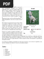 Pit Bull PDF