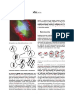 Mitosis PDF