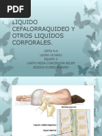 Liquido Cefalorraquideo y Otros Liquidos Corporales