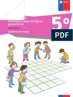 201401021231080.cuaderno 5basico Modulo2 Matematica PDF