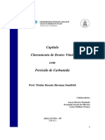 Capitulo Clareamento de Dentes Vitais Com Peroxido de Carbmida PDF