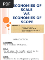 Economies of Scope and Scale