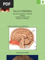 Tallo Cerebral-Med-Uis - VST PDF