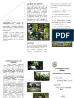 Triptico PDF