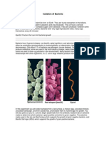 Bacteria Lab For High School Students