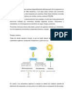 Resumen Heterotrofos Aerobios