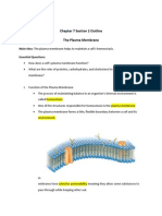 Chapter 7 Section 2 Outline